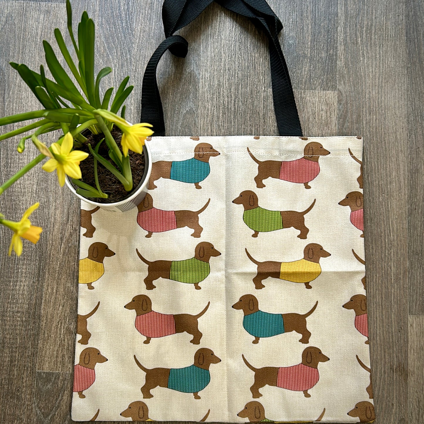 Dachshund Tote Bag